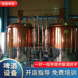 精釀啤酒設備投資指南 價格解析與一體機、分體機選擇策略